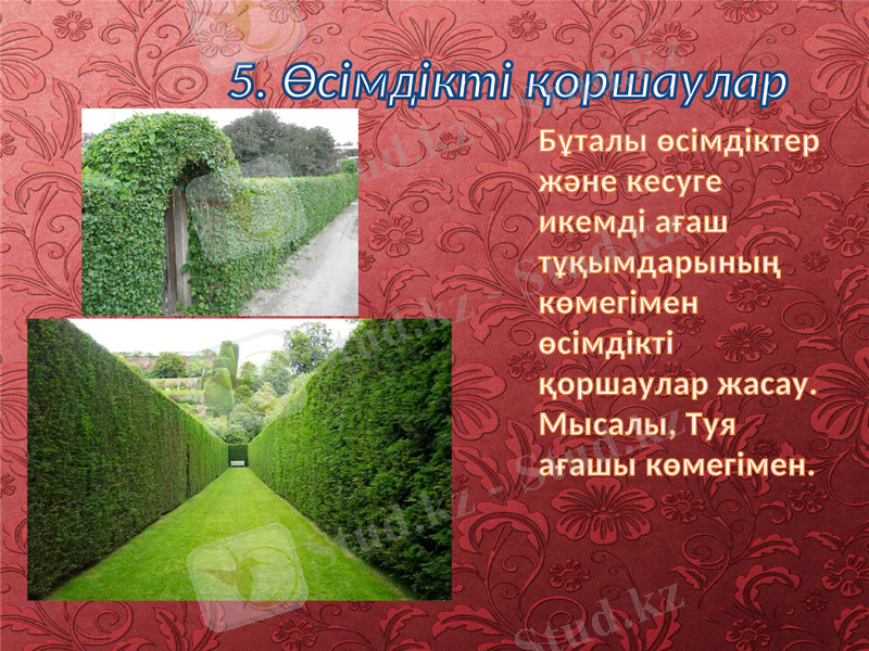 Slide 9