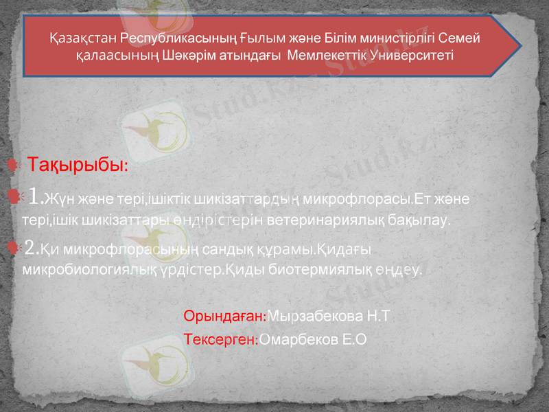 Slide 1