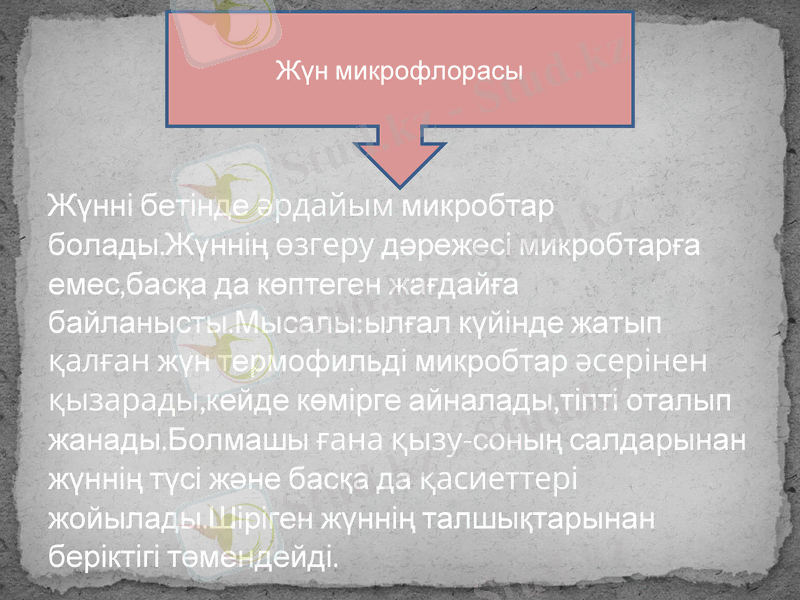 Slide 10