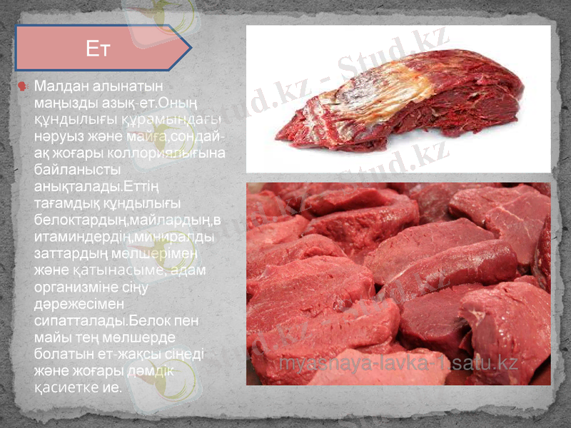 Slide 11