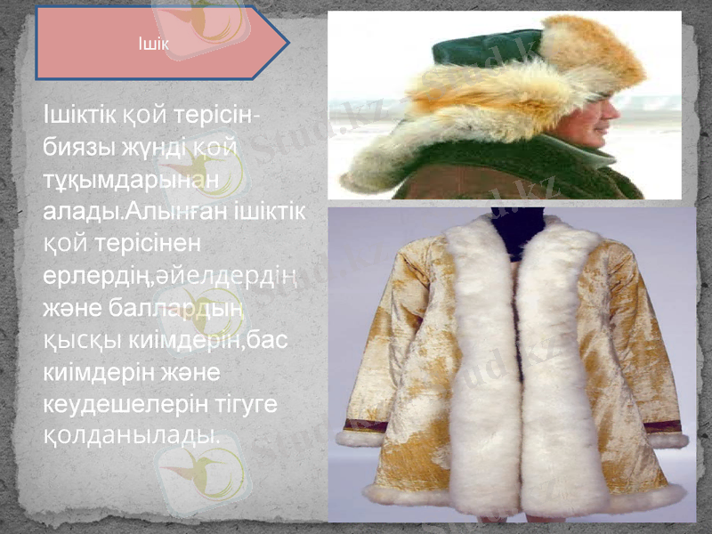 Slide 12
