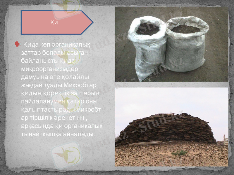 Slide 13