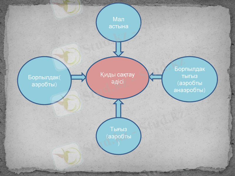 Slide 14
