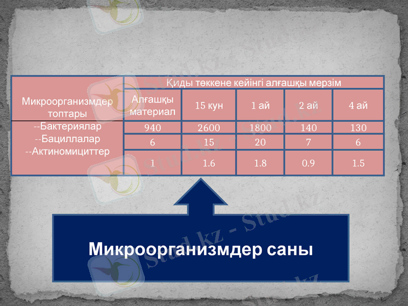 Slide 16