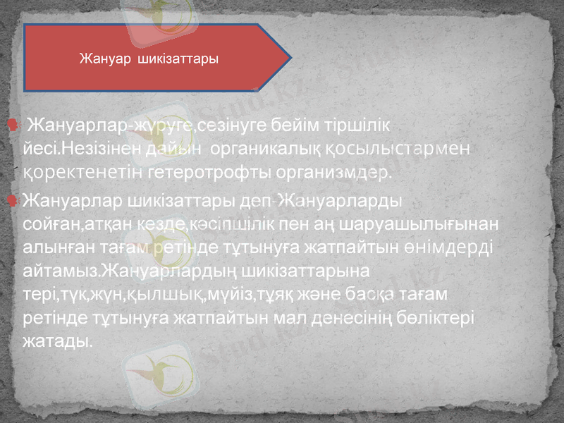 Slide 3