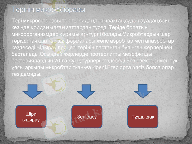 Slide 5