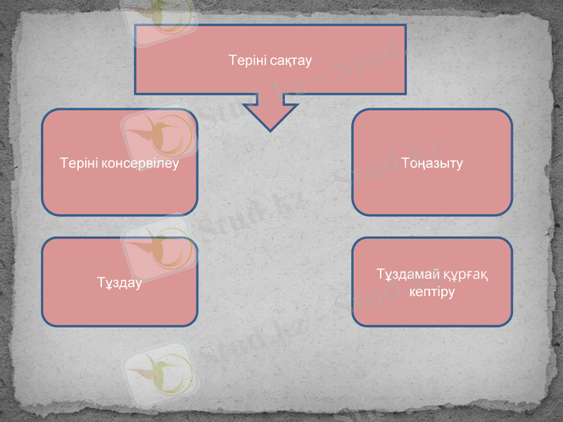 Slide 7