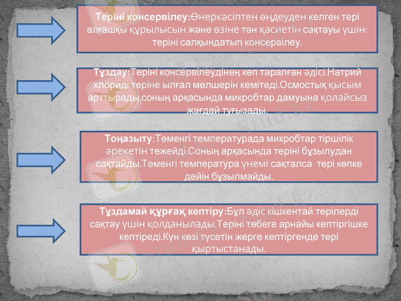 Slide 8