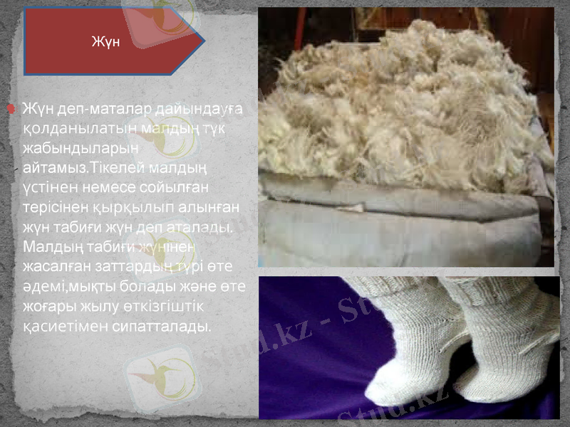 Slide 9