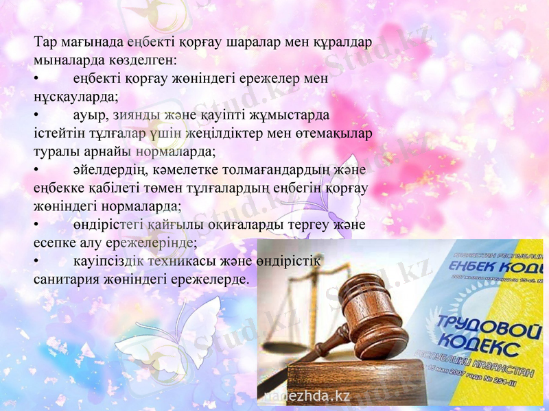 Slide 6