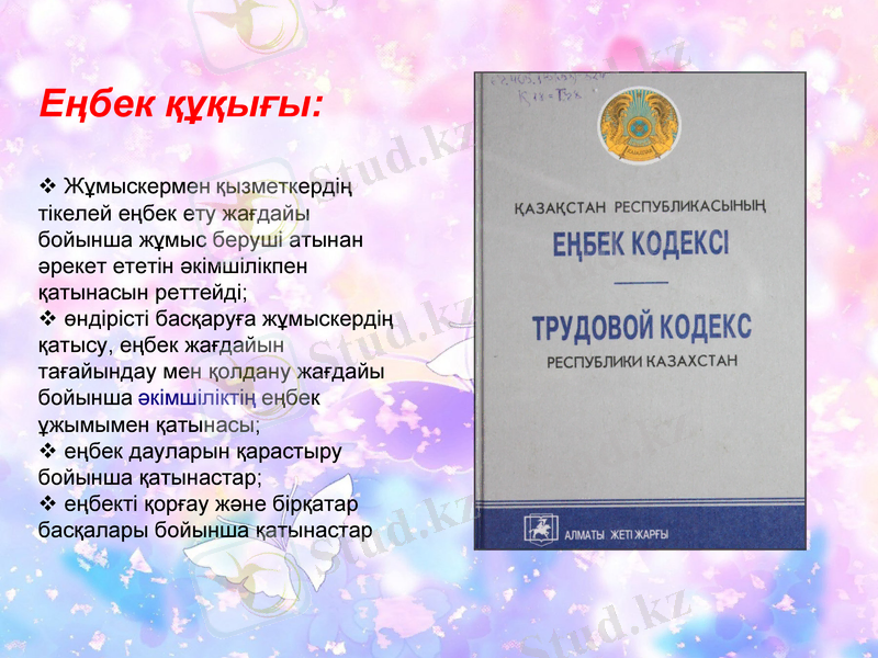 Slide 7