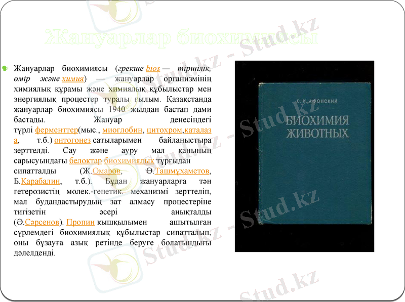 Slide 13