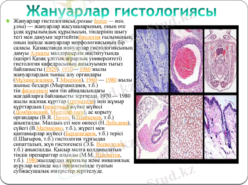 Slide 14