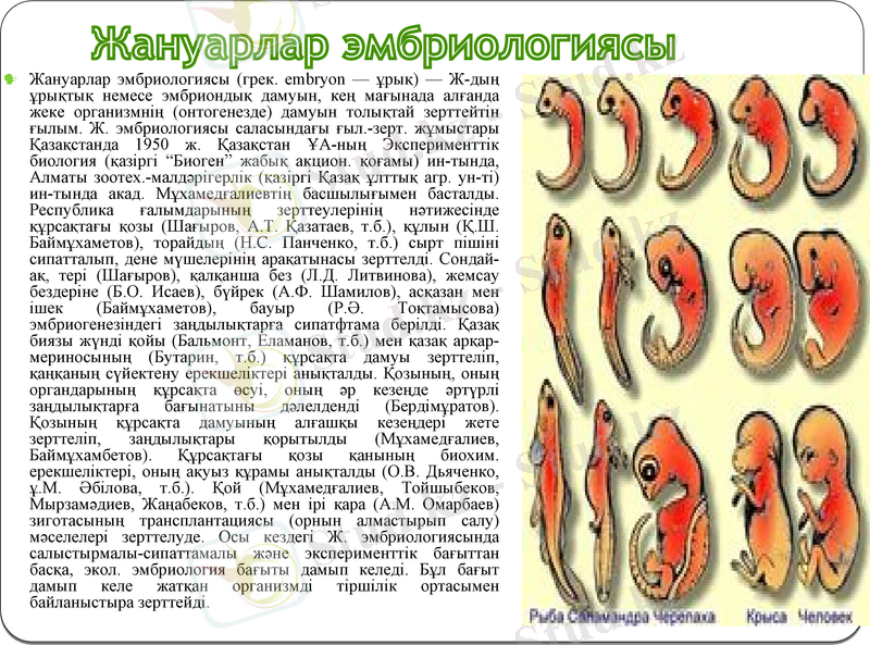 Slide 15