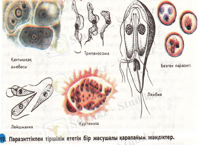 Slide 16