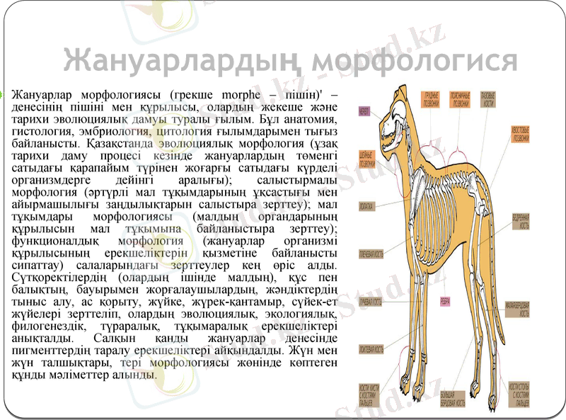 Slide 18