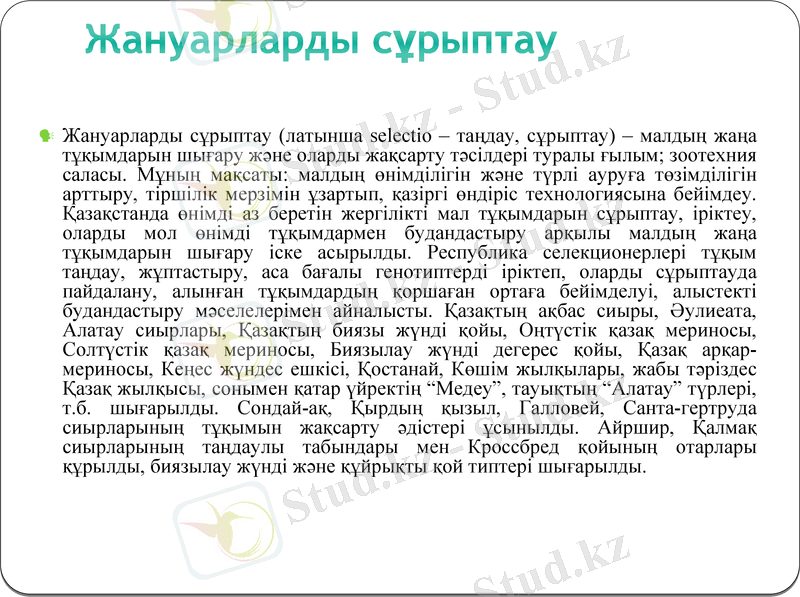 Slide 19