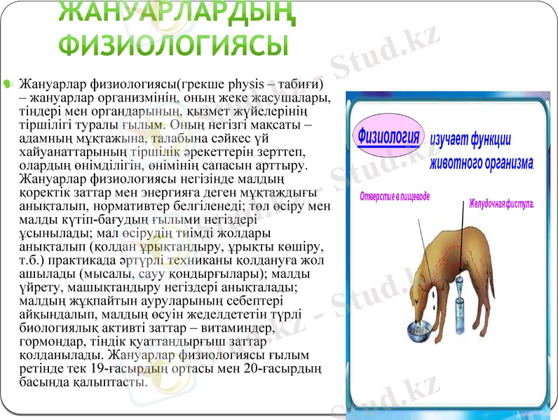 Slide 20