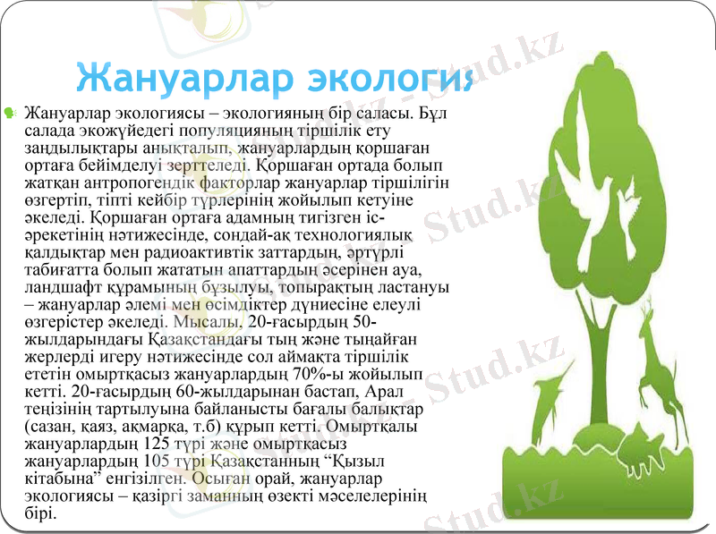 Slide 21