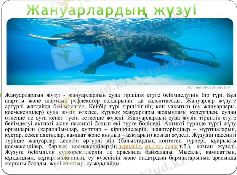 Slide 6