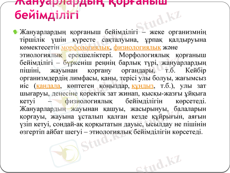 Slide 7