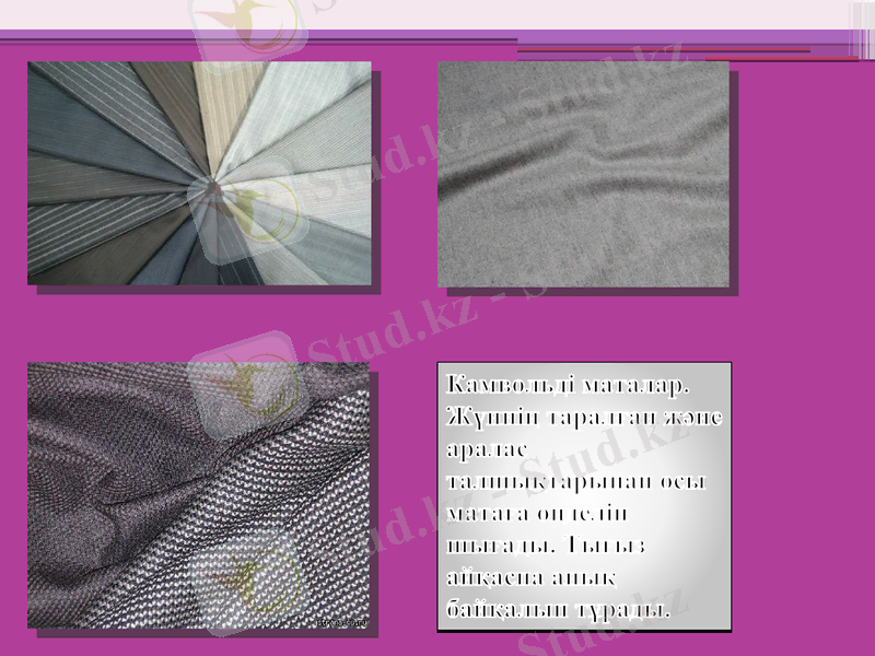 Slide 5