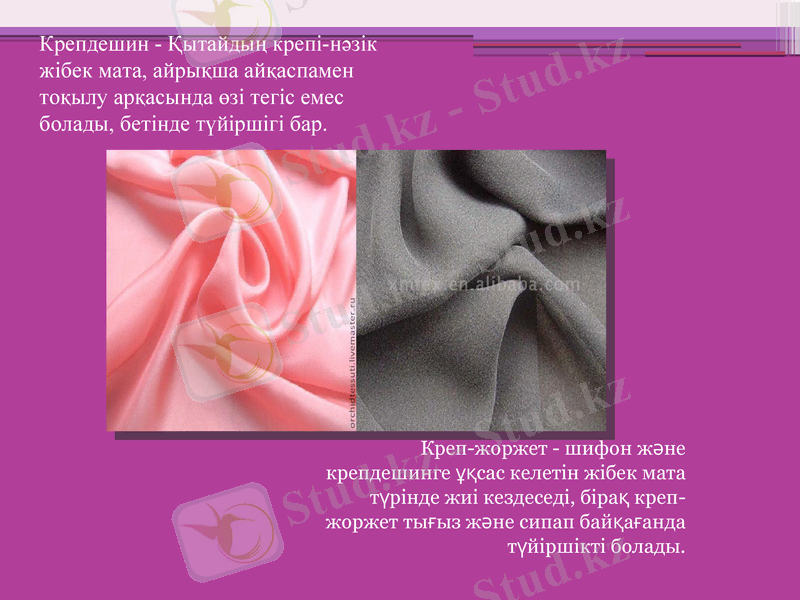 Slide 6