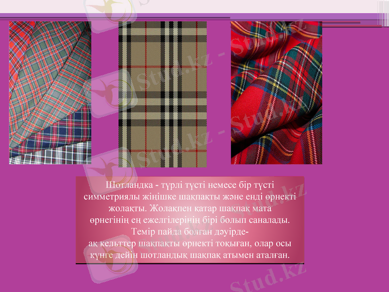 Slide 7