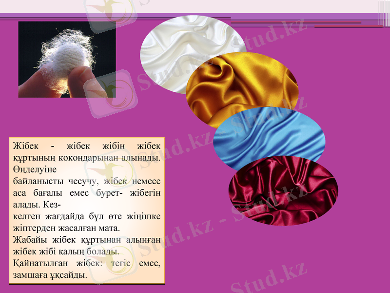 Slide 8
