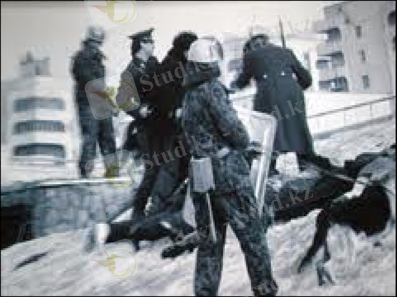 Slide 8