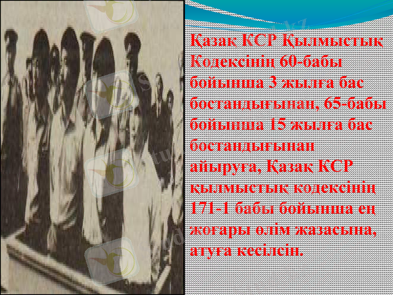 Slide 9