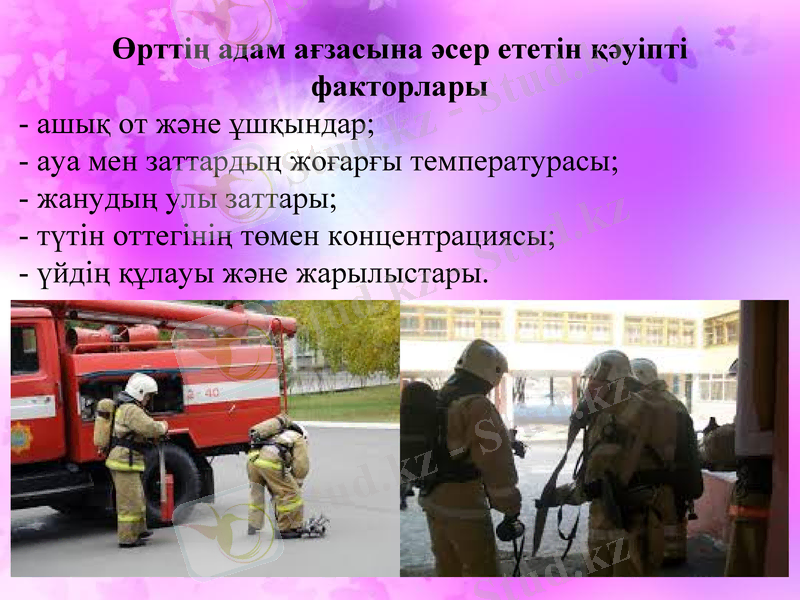Slide 10