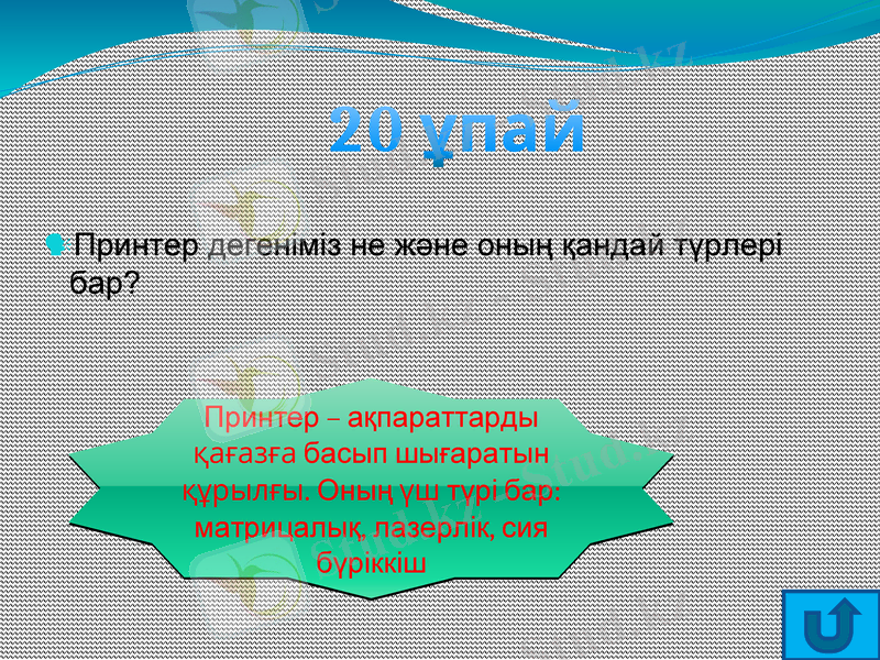 Slide 11