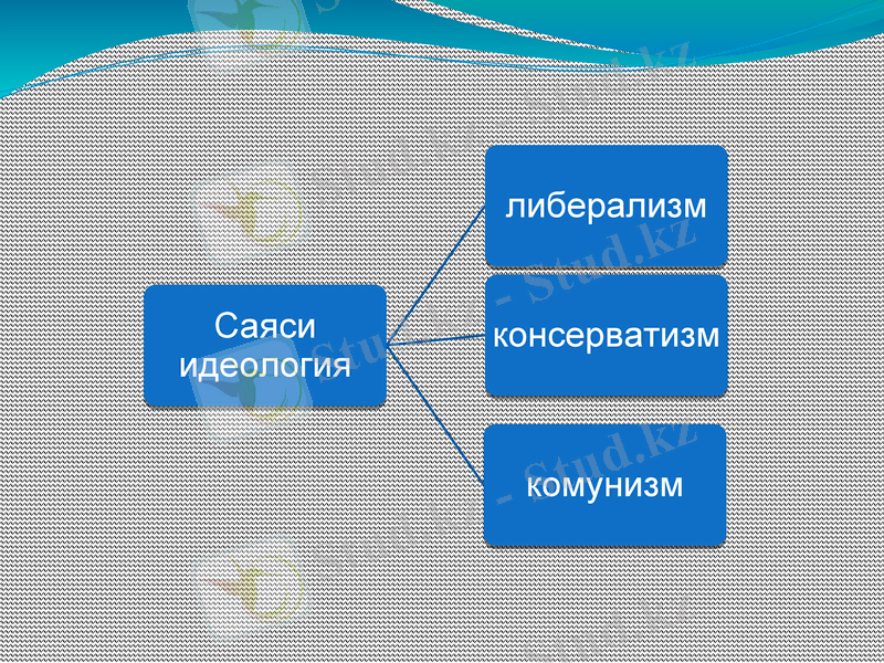 Slide 12