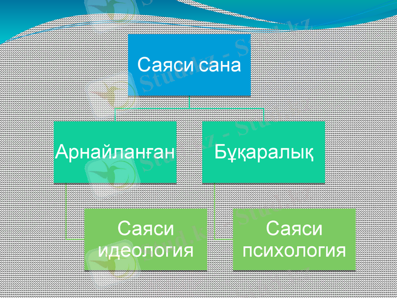 Slide 8