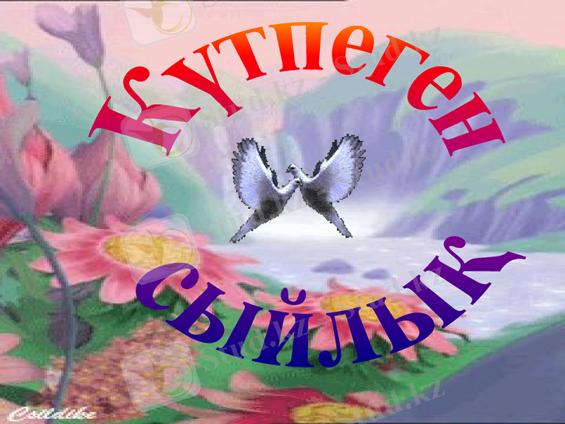 Slide 31