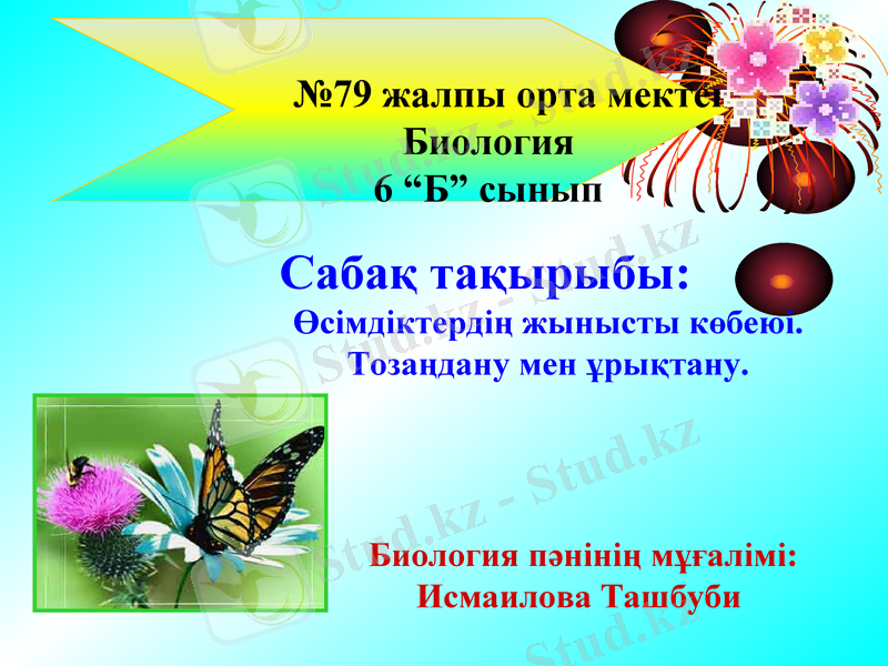 Slide 1