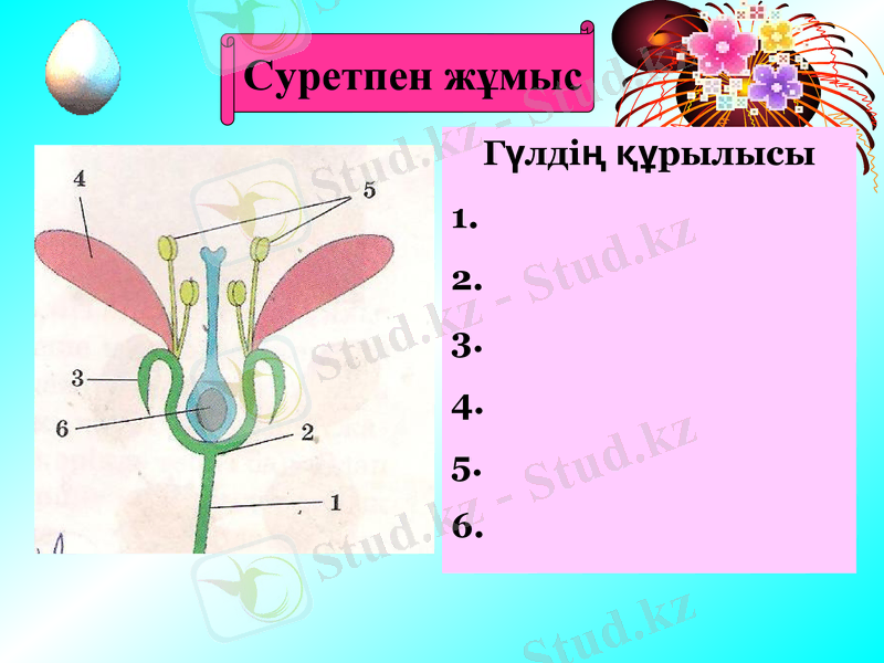 Slide 10
