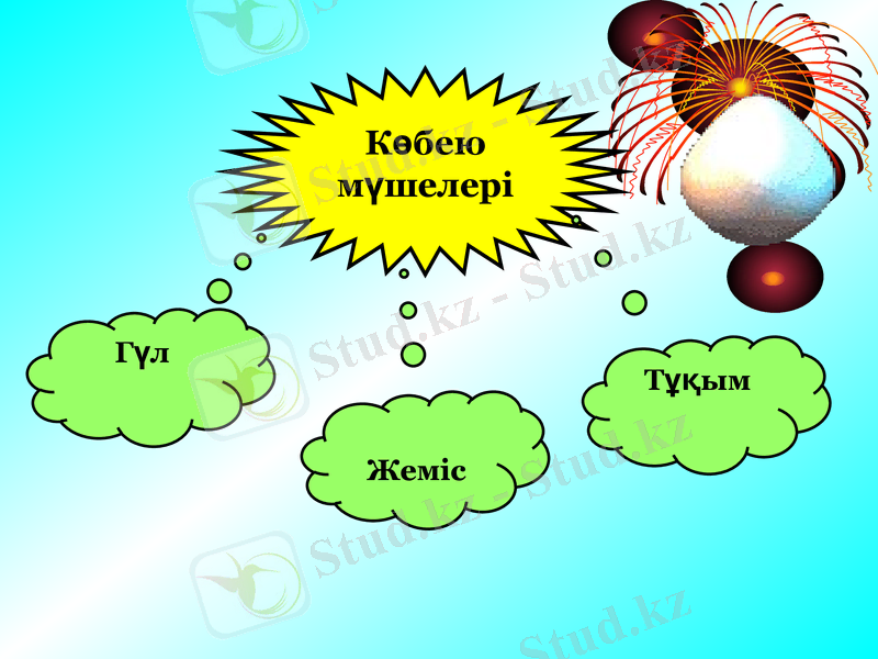 Slide 12