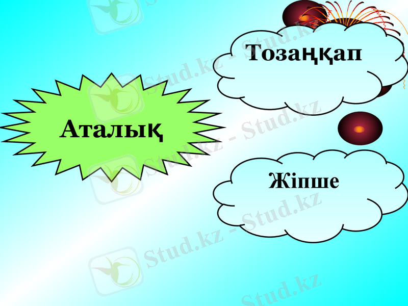 Slide 14