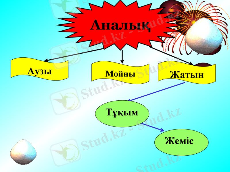 Slide 15