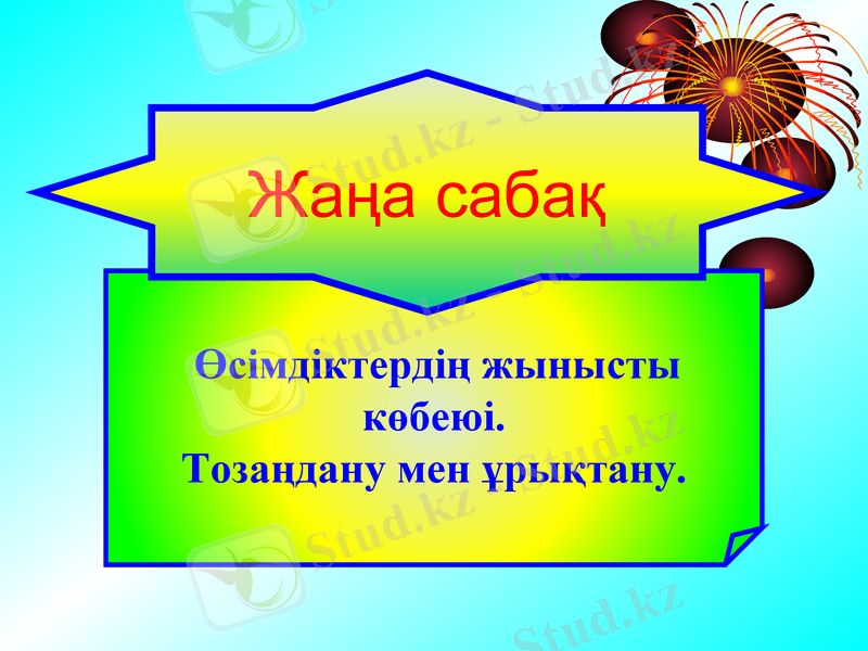 Slide 16