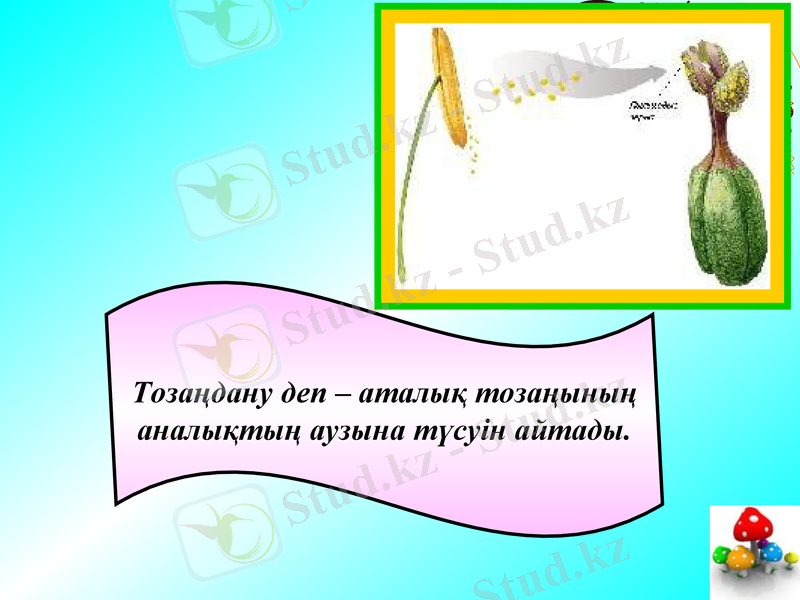 Slide 20