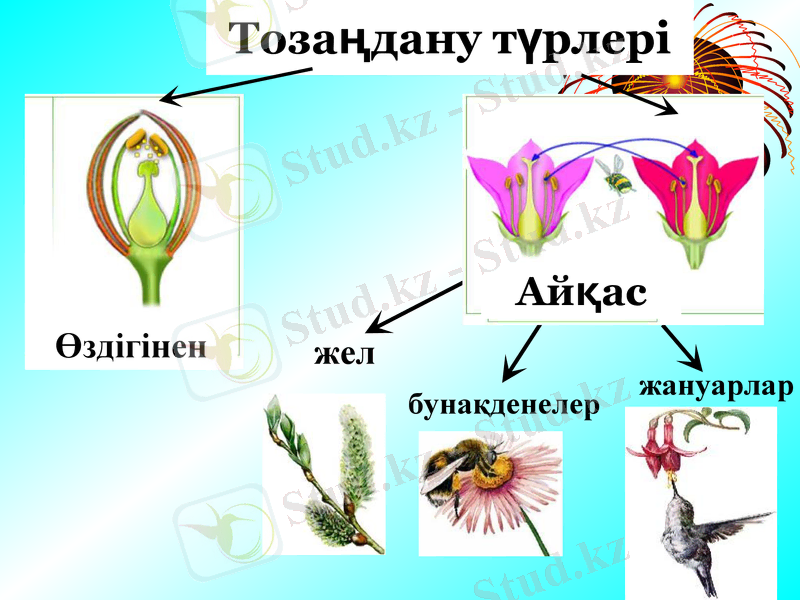 Slide 21