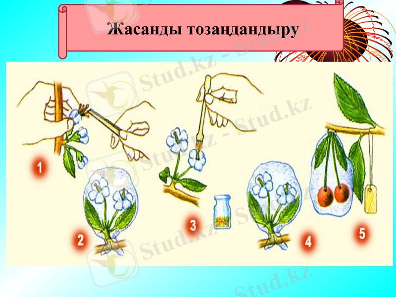 Slide 22