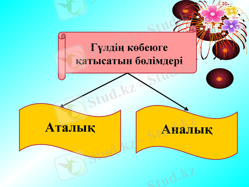 Slide 23
