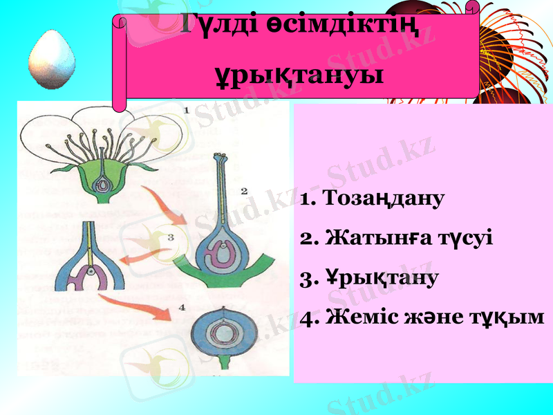 Slide 24
