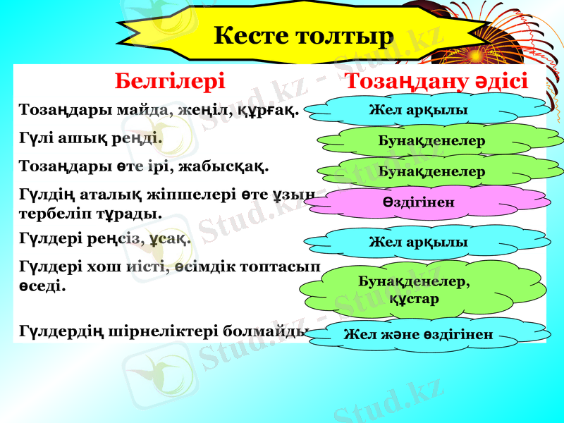 Slide 26