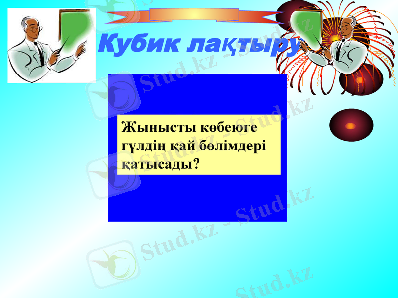 Slide 29