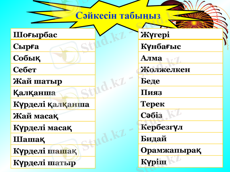 Slide 6